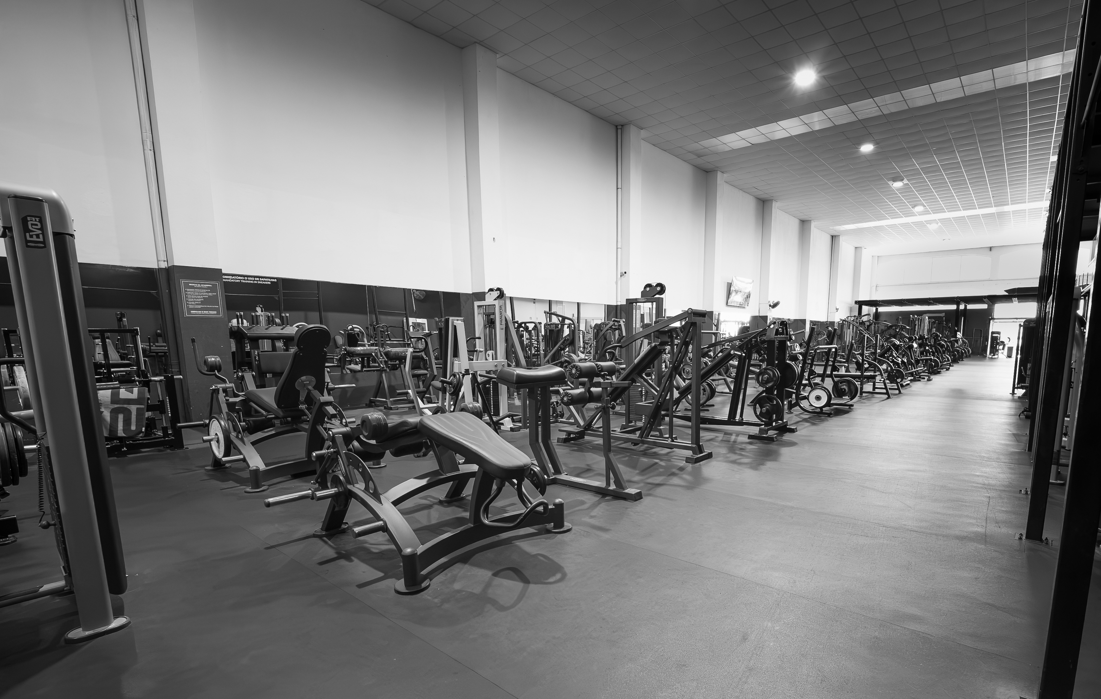 Zona de treino da Academia Workout